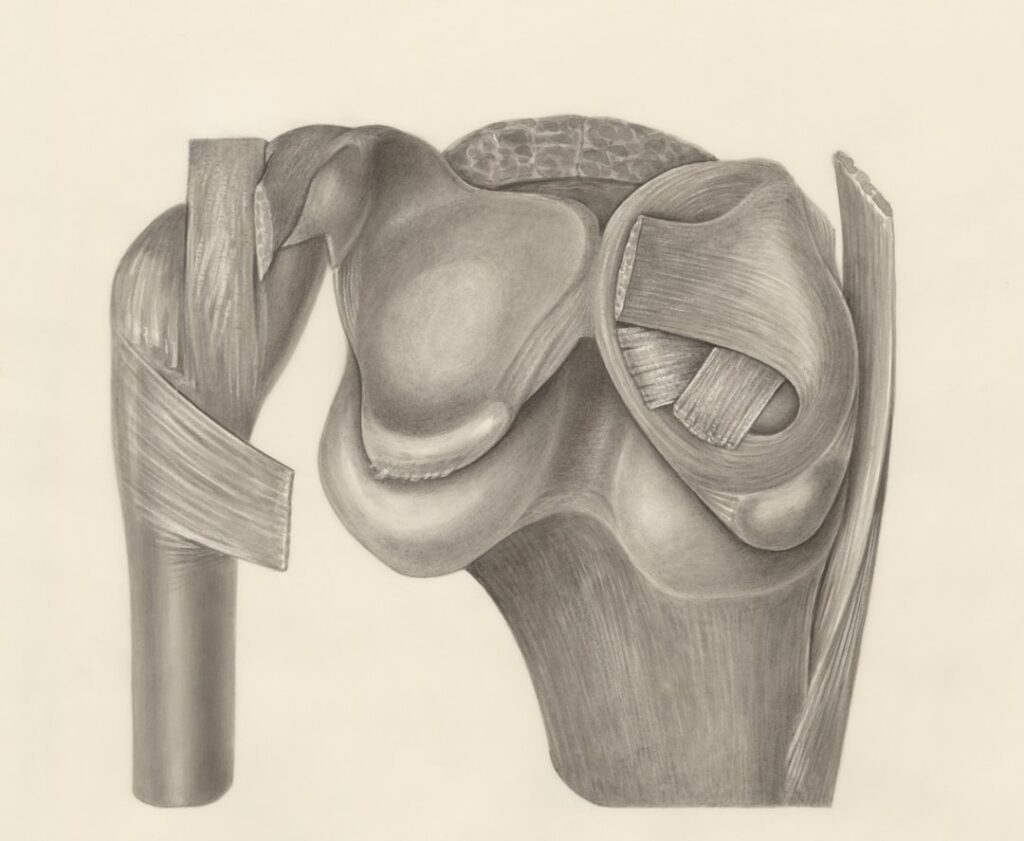 How to reduce knee pain?
