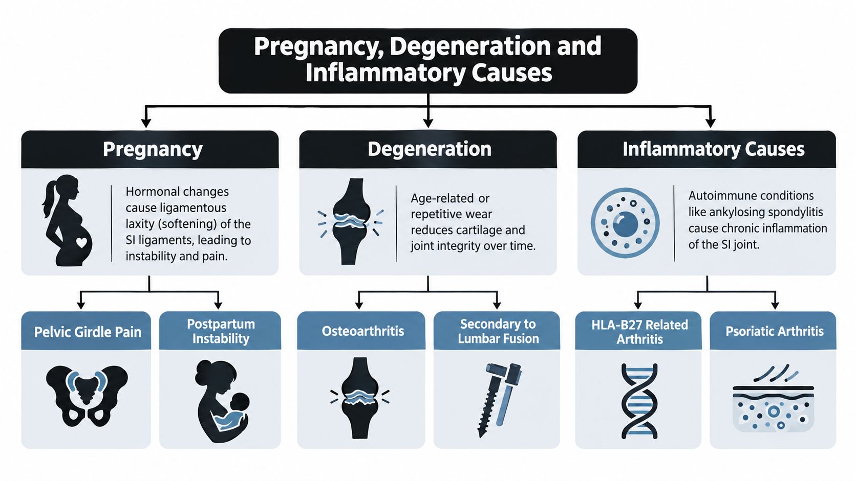 A diagram illustrating the three main causes of sacroiliac joint pain: pregnancy, degeneration, and inflammatory conditions.