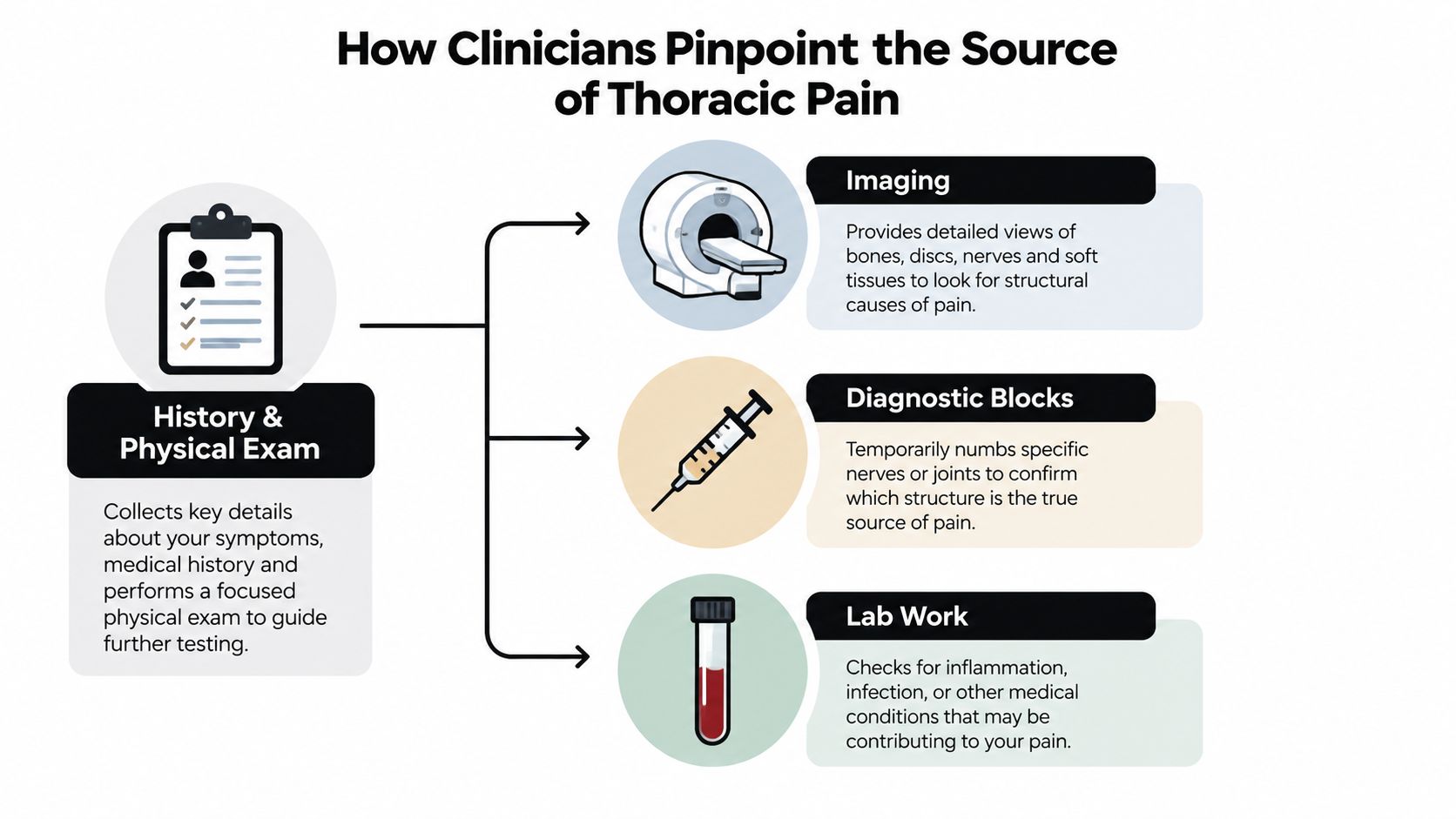 A medical infographic showing how clinicians diagnose the source of thoracic spine pain through testing methods.